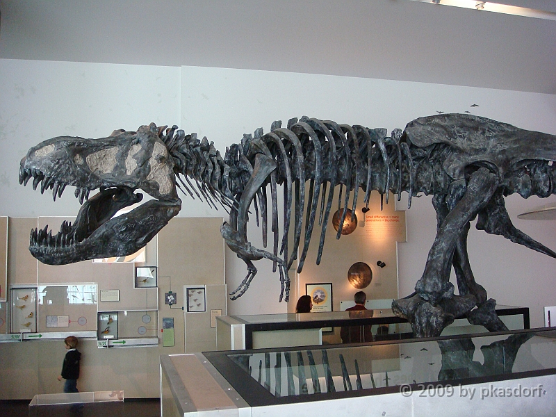 016 Cranbrook Institute of Science [2008 Jan 02].JPG